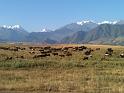 20110722_Bishkek 070